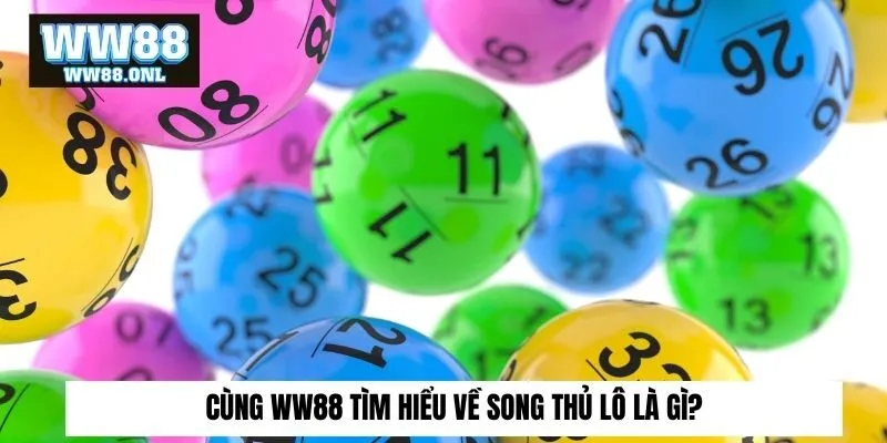Cùng ww88 tìm hiểu về song thủ lô là gì?