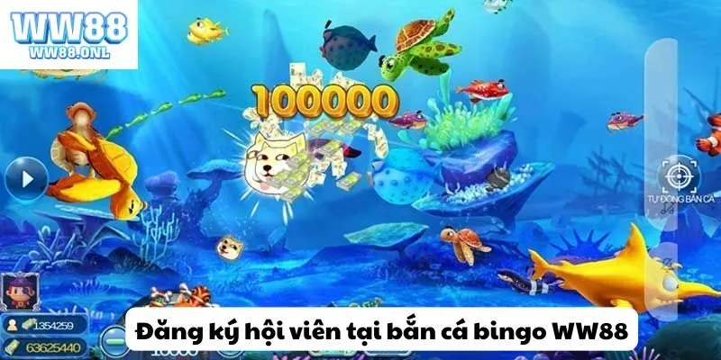 Hướng dẫn đăng ký hội viên chính thức tại bắn cá bingo WW88