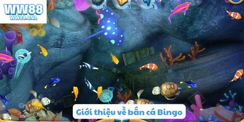 Giới thiệu về bắn cá Bingo