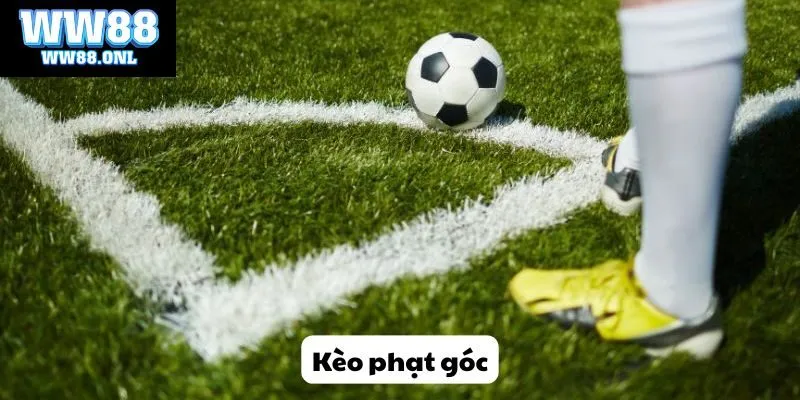 Kèo phạt góc - Phương pháp cá cược thú vị với thưởng lớn