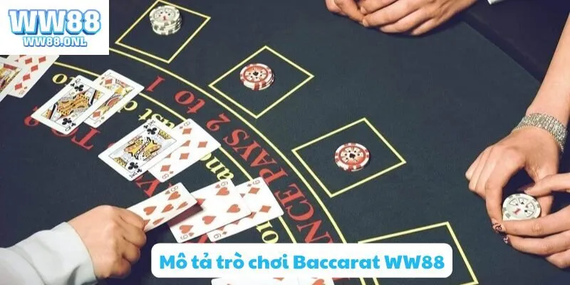 Mô tả trò chơi Baccarat WW88